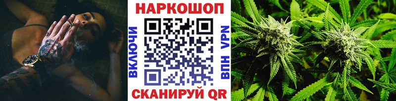 Где купить Шатура COCAIN  Конопля  Меф  Alpha PVP  ГАШИШ 