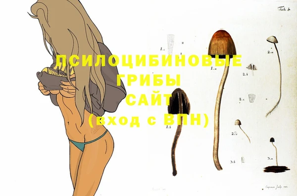 2c-b Арсеньев